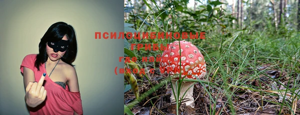 спиды Баксан